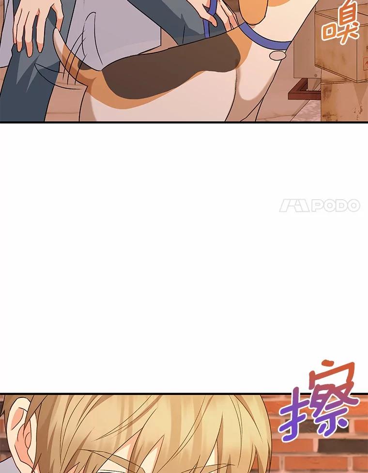 《你好？兽医先生！》12.消失的银雨 第79页