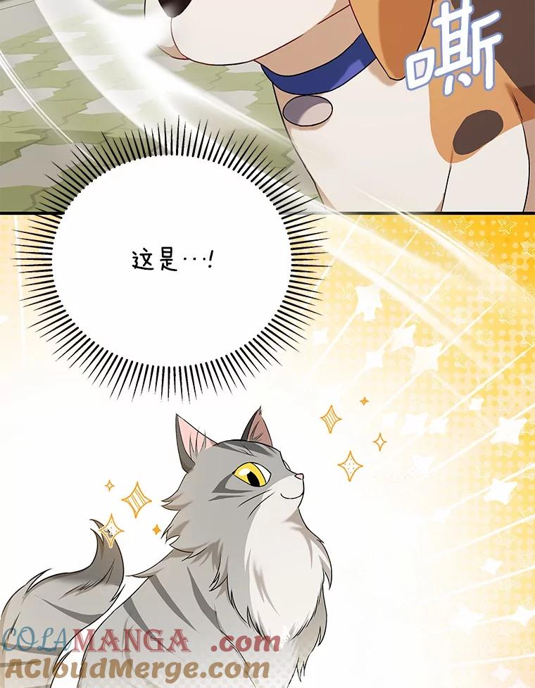 《你好？兽医先生！》12.消失的银雨 第41页
