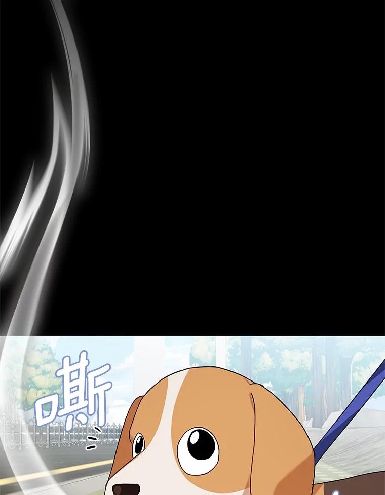 《你好？兽医先生！》12.消失的银雨 第40页
