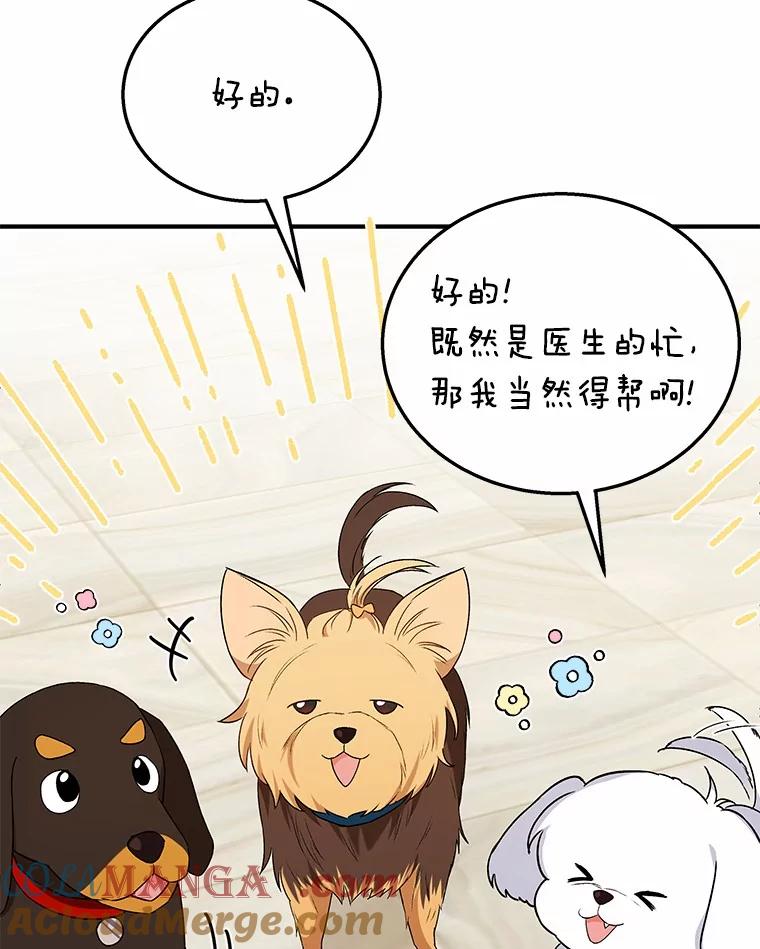 《你好？兽医先生！》12.消失的银雨 第9页