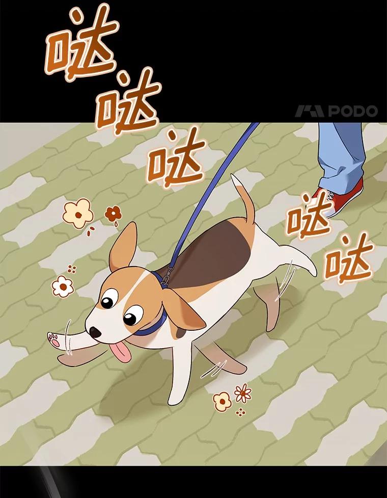 《你好？兽医先生！》12.消失的银雨 第39页
