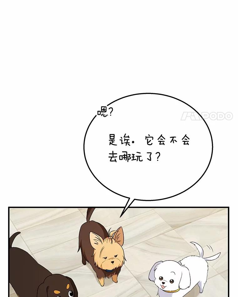 《你好？兽医先生！》12.消失的银雨 第4页