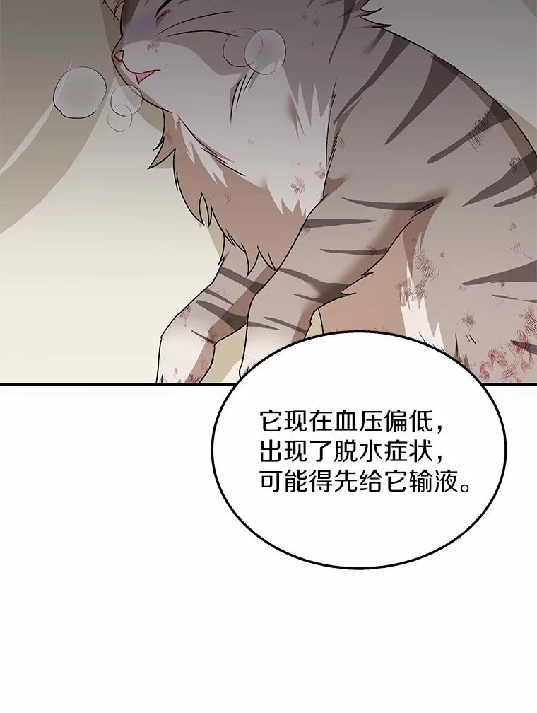 《你好？兽医先生！》13.化险为夷 第44页