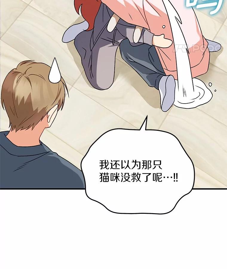 《你好？兽医先生！》13.化险为夷 第88页