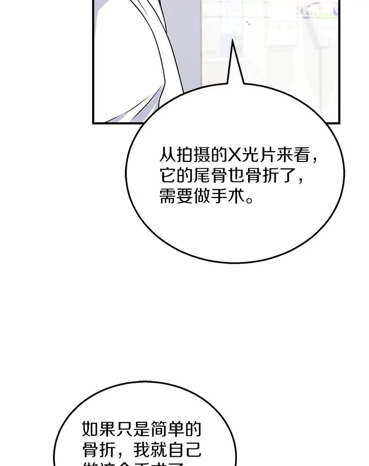 《你好？兽医先生！》13.化险为夷 第51页