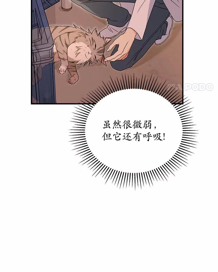 《你好？兽医先生！》13.化险为夷 第11页
