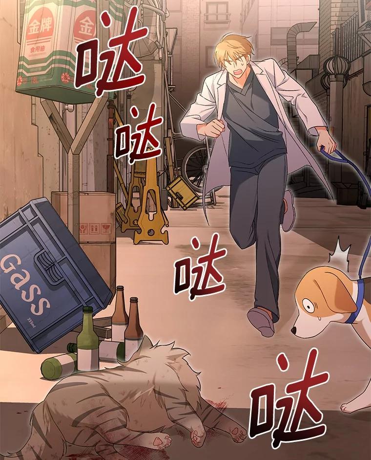 《你好？兽医先生！》13.化险为夷 第2页