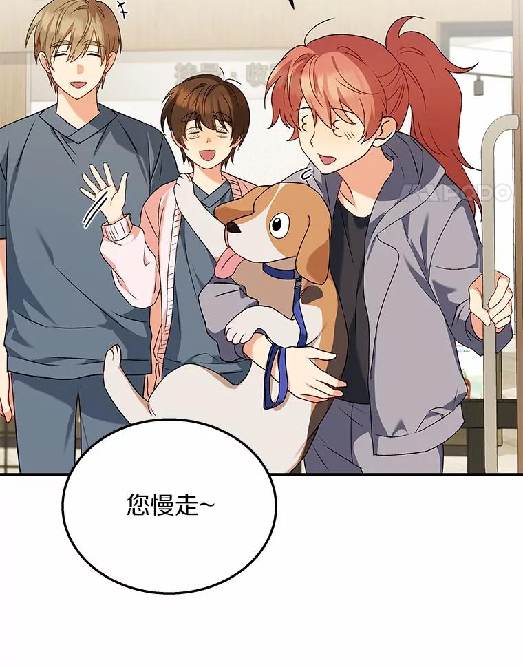 《你好？兽医先生！》13.化险为夷 第95页