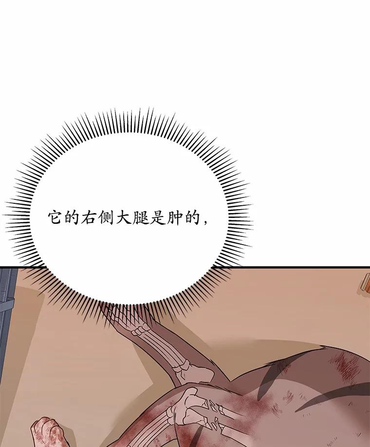 《你好？兽医先生！》13.化险为夷 第12页