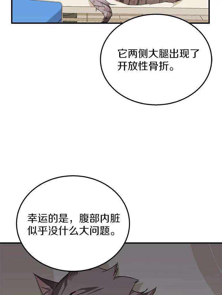 《你好？兽医先生！》13.化险为夷 第43页