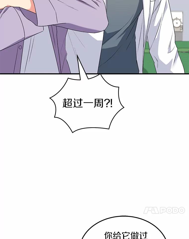 《你好？兽医先生！》13.化险为夷 第48页
