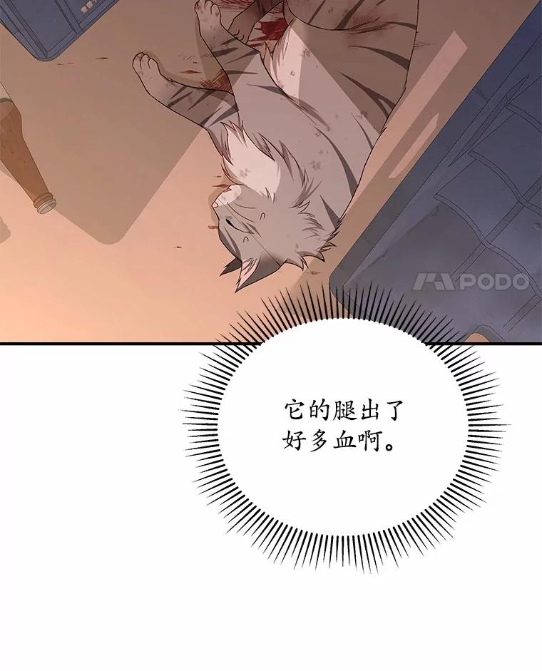 《你好？兽医先生！》13.化险为夷 第4页