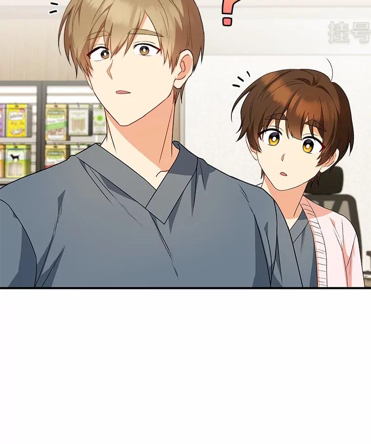 《你好？兽医先生！》14.小访客们 第2页