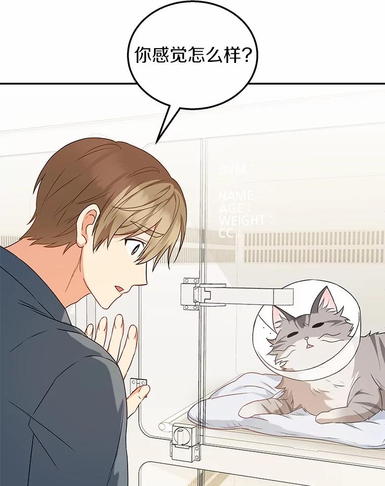 《你好？兽医先生！》14.小访客们 第103页