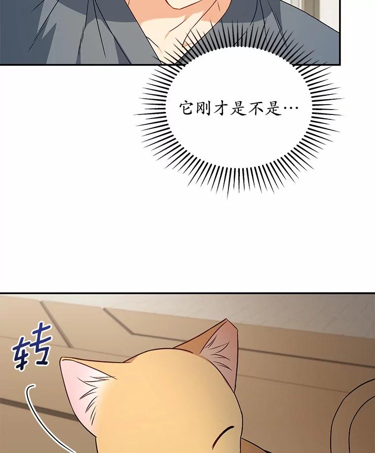 《你好？兽医先生！》14.小访客们 第88页