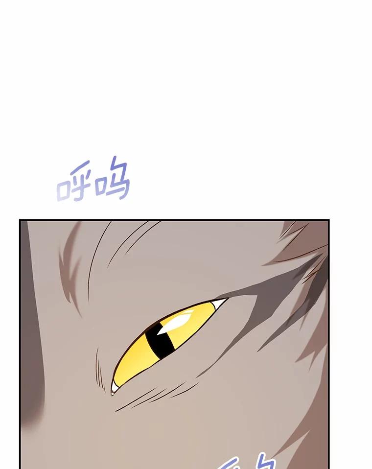 《你好？兽医先生！》14.小访客们 第100页