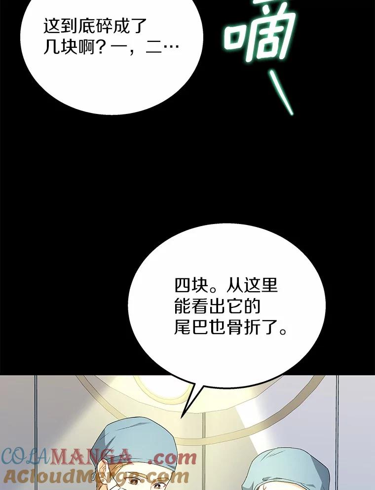 《你好？兽医先生！》14.小访客们 第37页
