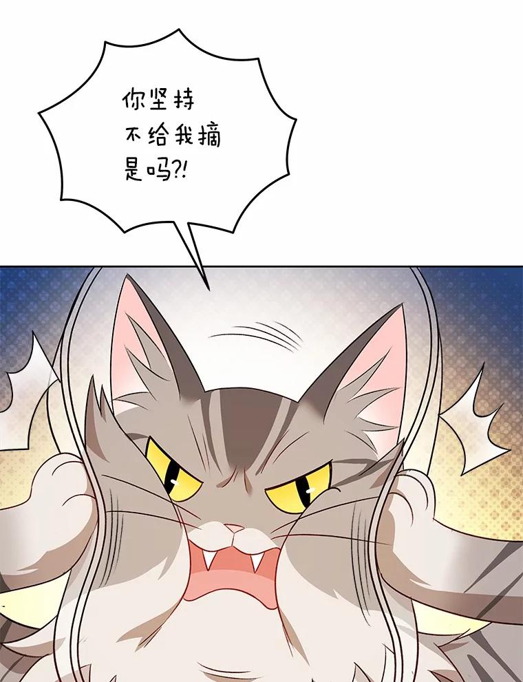 《你好？兽医先生！》15.开启同居生活 第88页