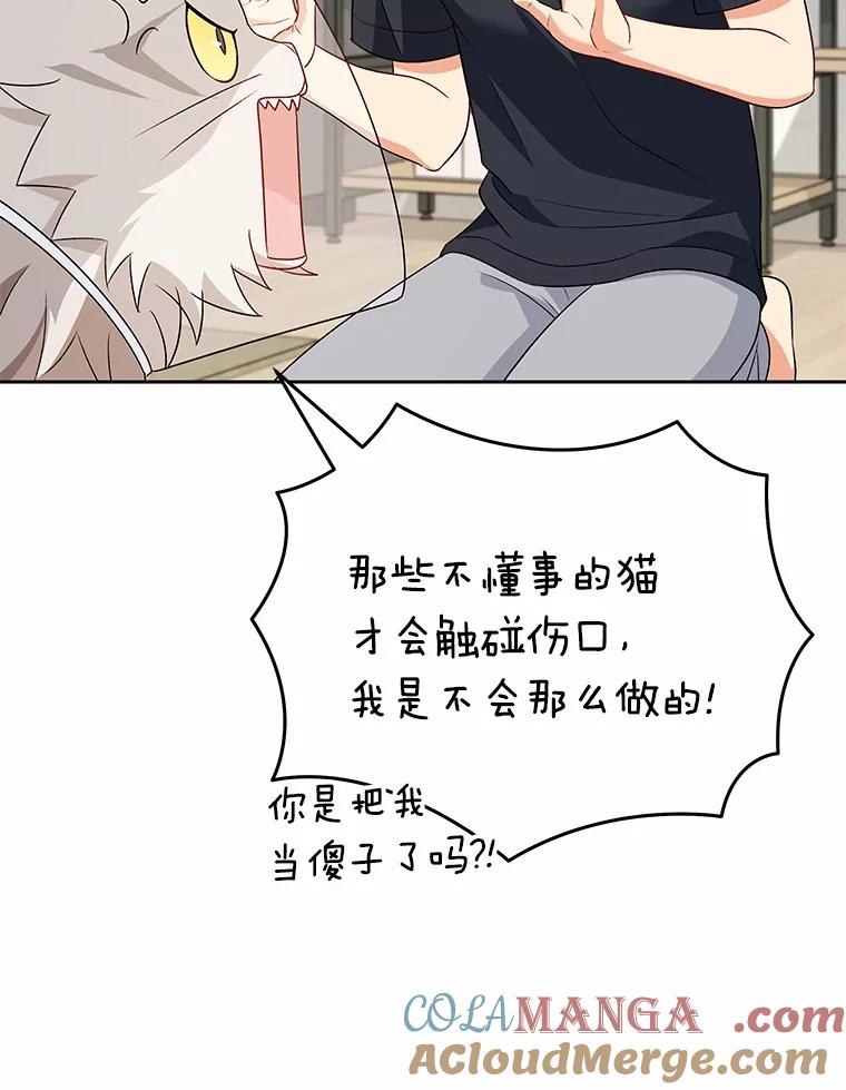 《你好？兽医先生！》15.开启同居生活 第85页