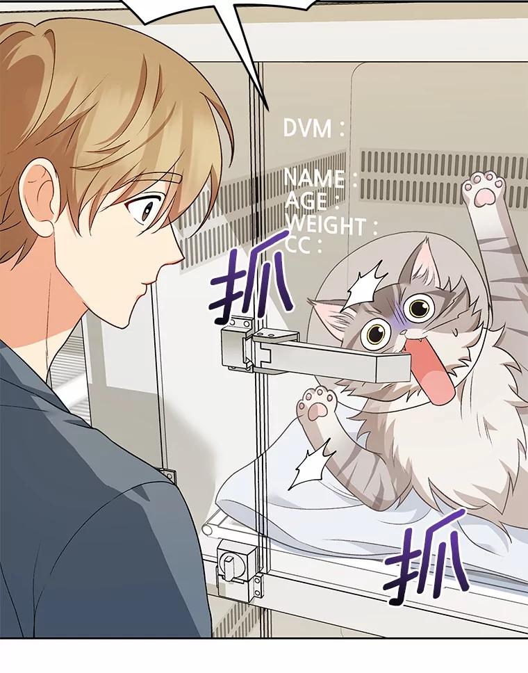 《你好？兽医先生！》15.开启同居生活 第2页