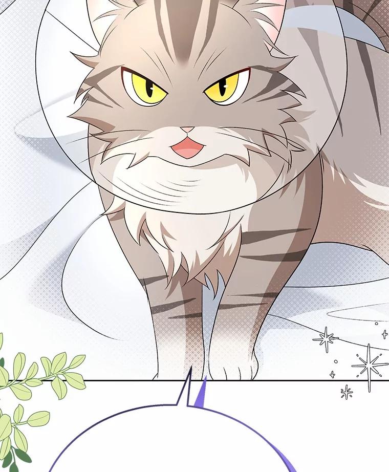 《你好？兽医先生！》15.开启同居生活 第52页