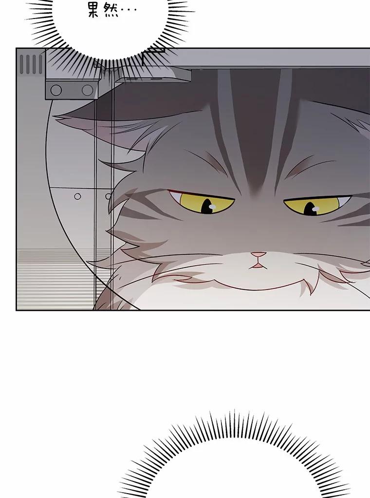 《你好？兽医先生！》15.开启同居生活 第22页