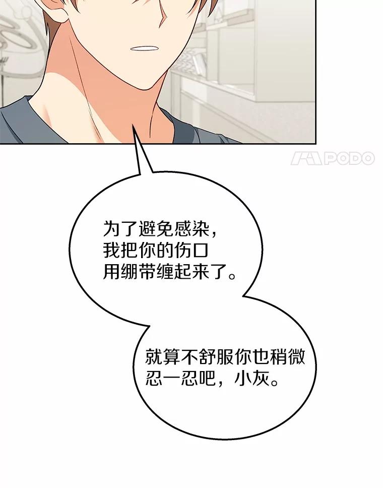 《你好？兽医先生！》15.开启同居生活 第4页