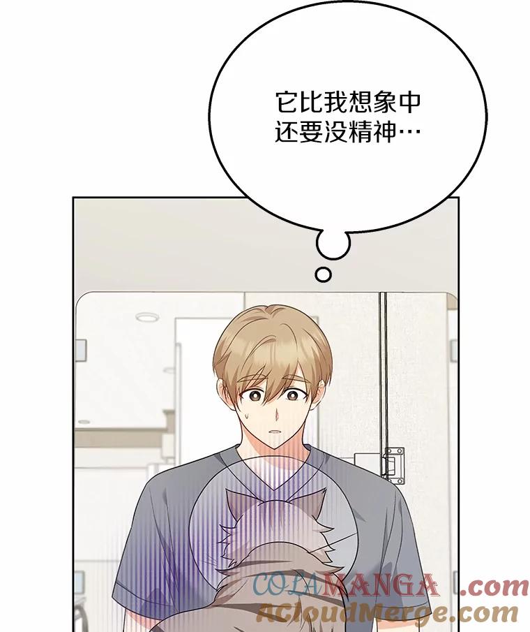 《你好？兽医先生！》15.开启同居生活 第25页