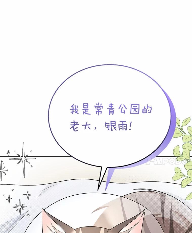 《你好？兽医先生！》15.开启同居生活 第51页