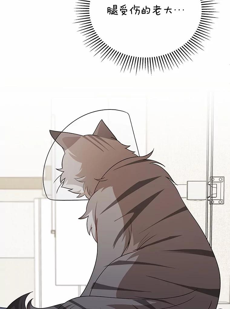 《你好？兽医先生！》15.开启同居生活 第23页