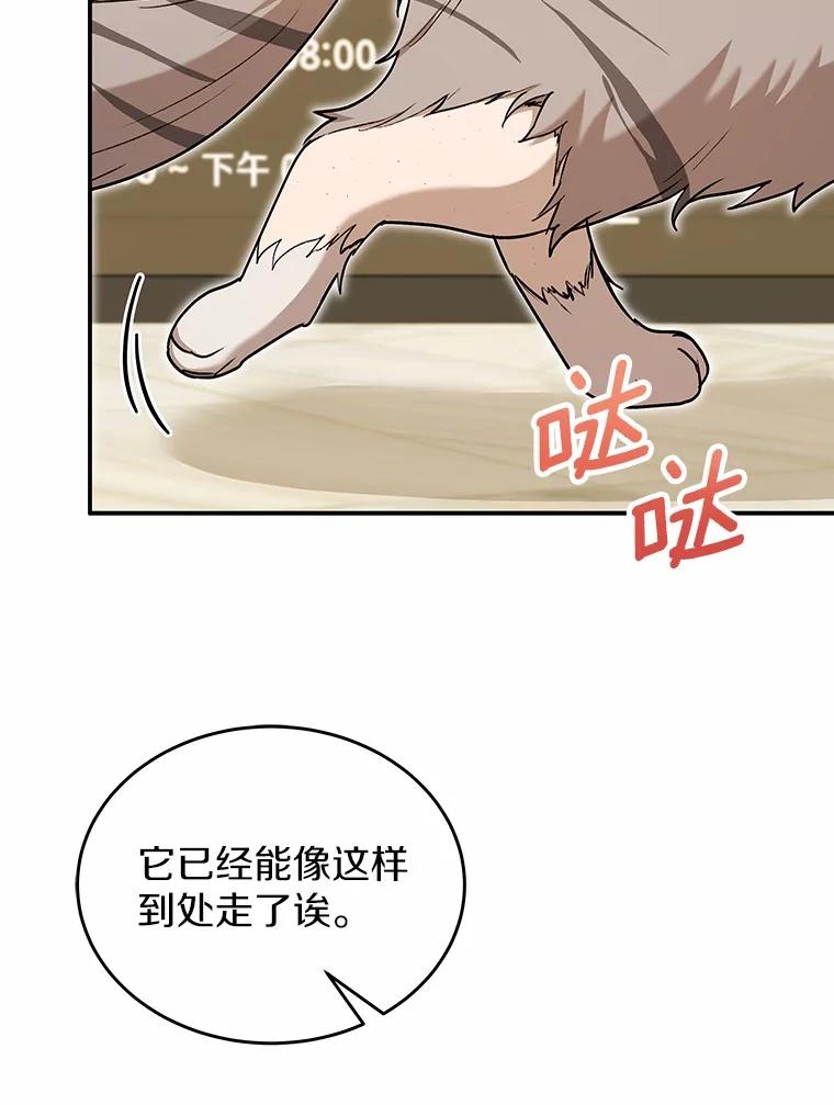 《你好？兽医先生！》16.爱宠庄园 第3页