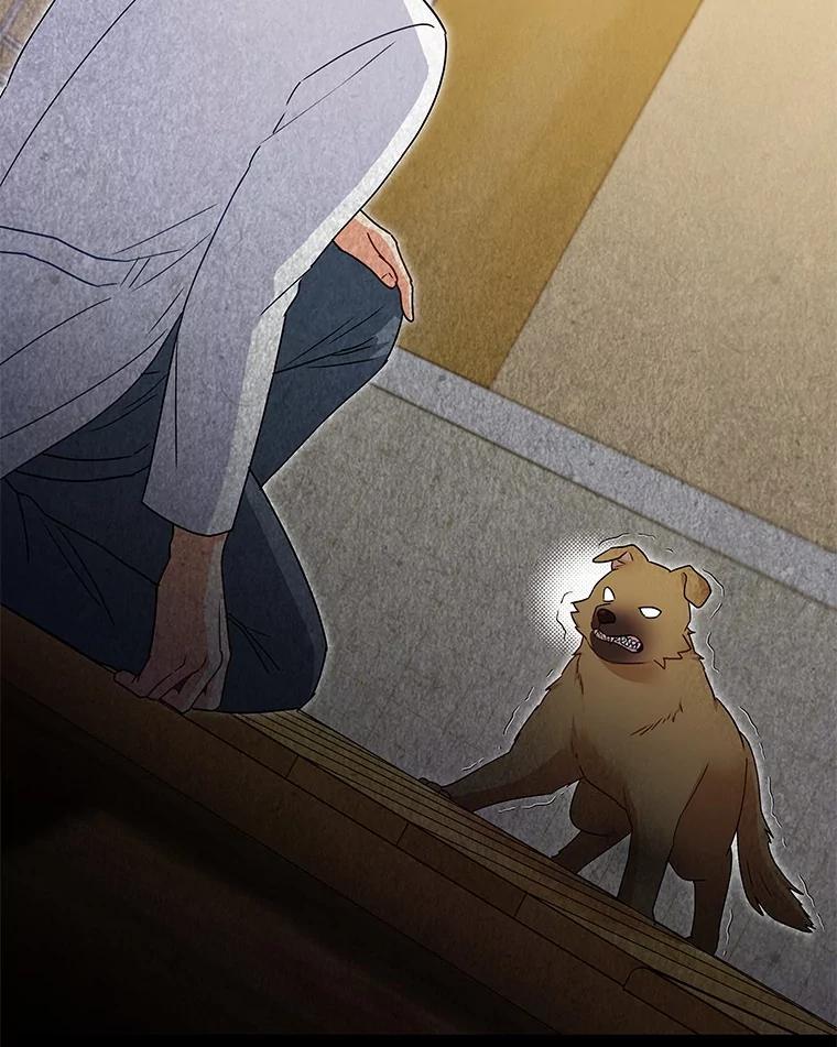 《你好？兽医先生！》16.爱宠庄园 第104页