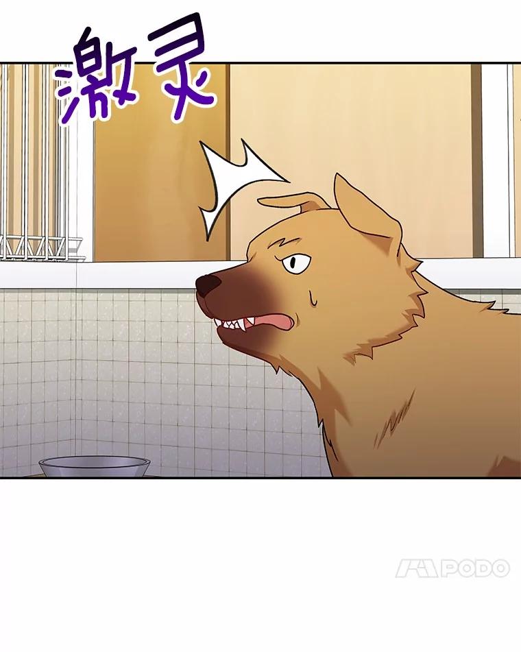 《你好？兽医先生！》16.爱宠庄园 第102页