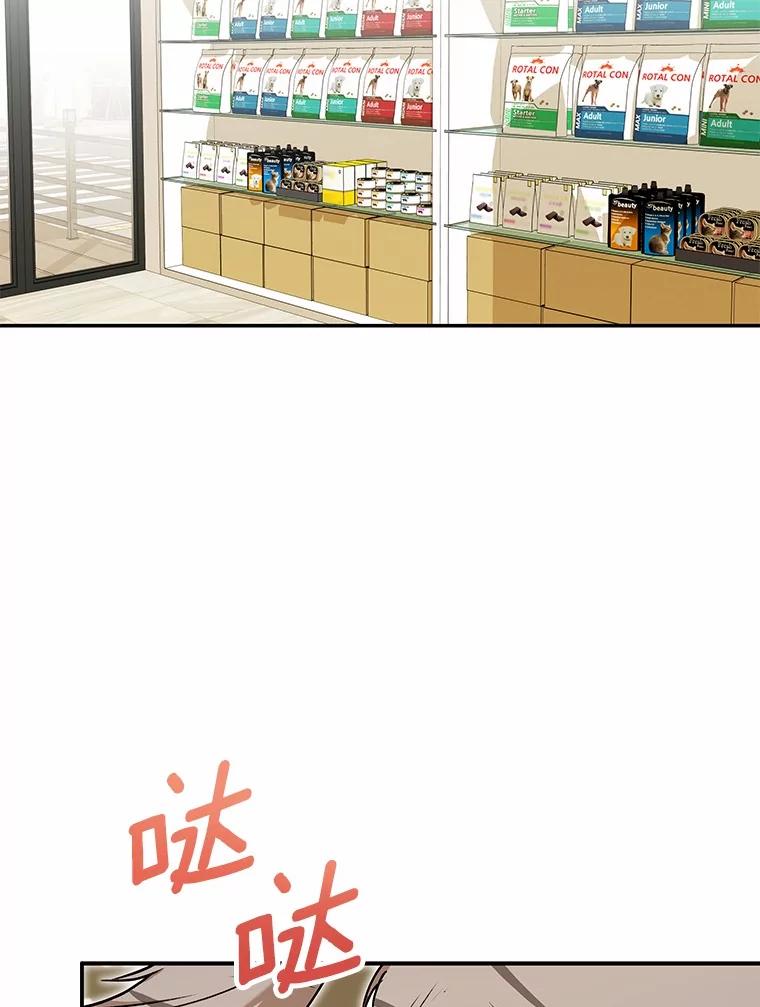 《你好？兽医先生！》16.爱宠庄园 第2页