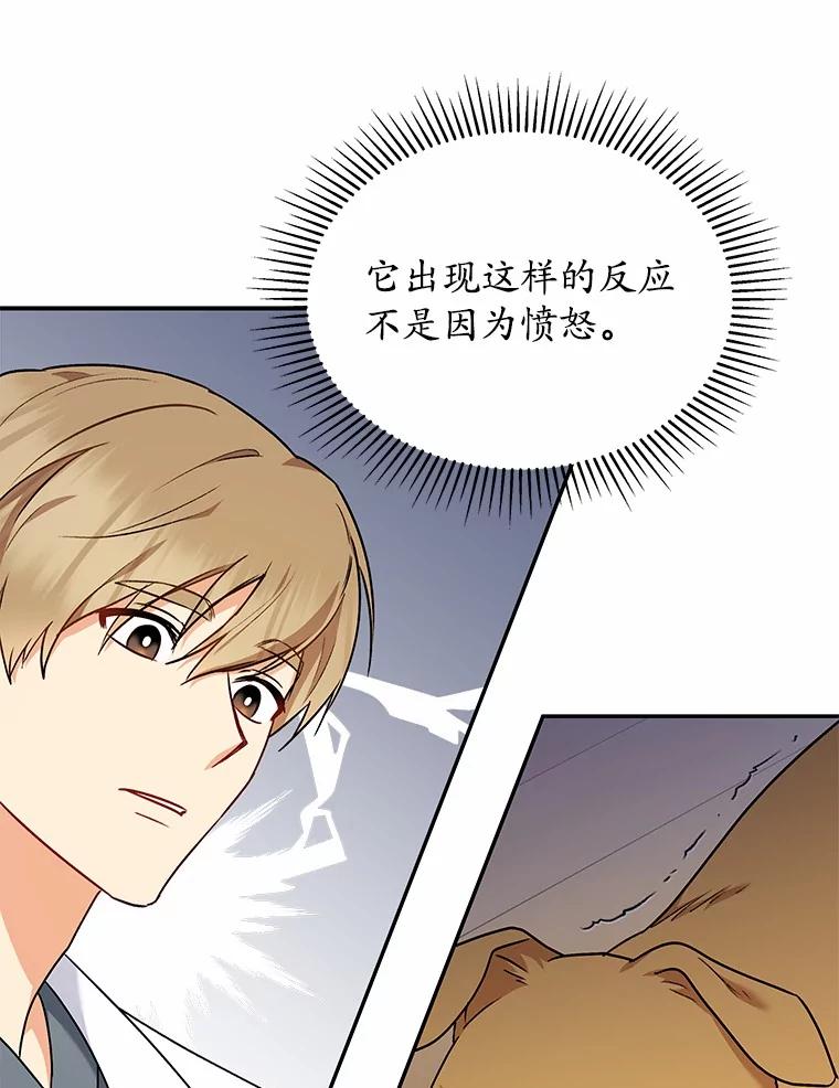 《你好？兽医先生！》16.爱宠庄园 第95页