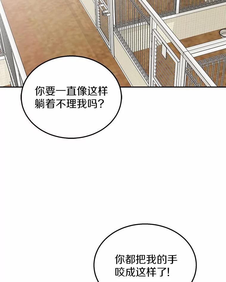 《你好？兽医先生！》17.爱咬人的大黄 第62页
