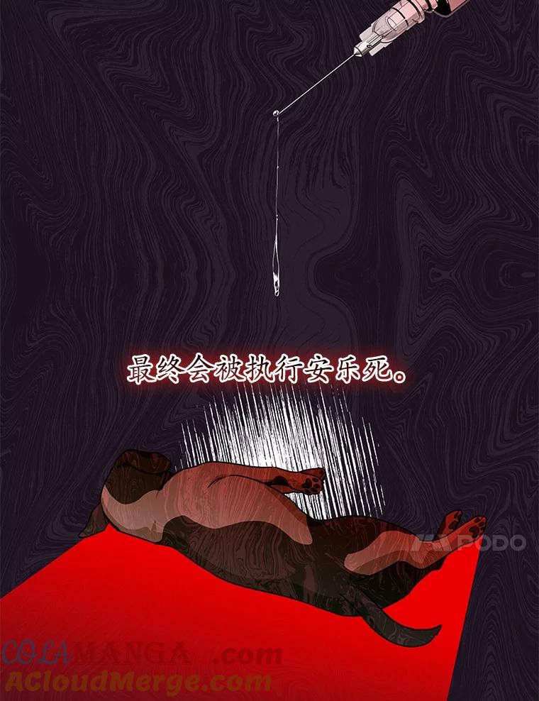 《你好？兽医先生！》17.爱咬人的大黄 第57页