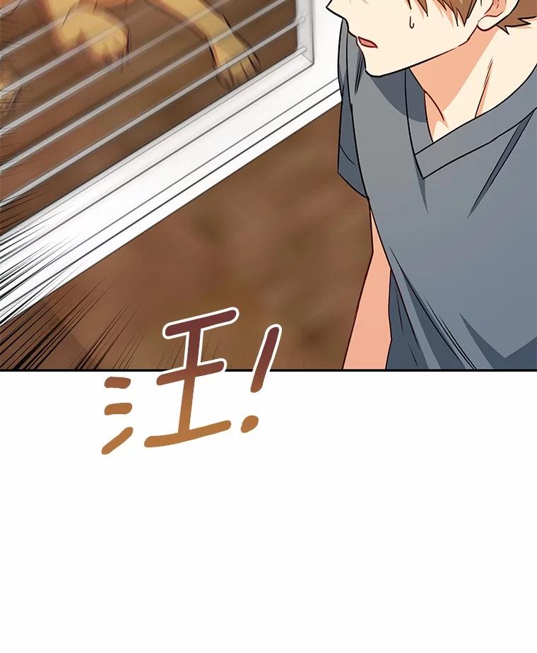 《你好？兽医先生！》17.爱咬人的大黄 第102页