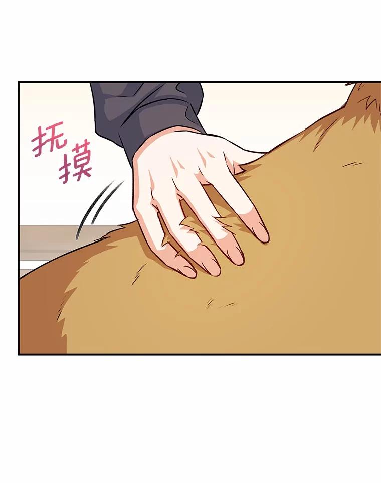 《你好？兽医先生！》17.爱咬人的大黄 第92页