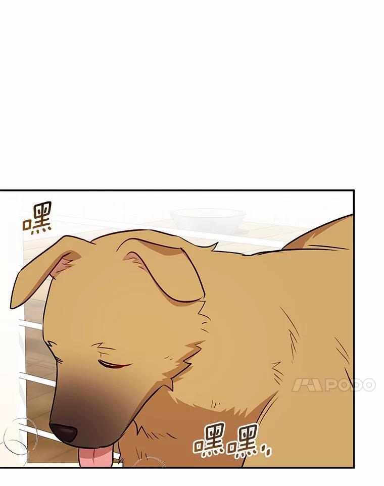 《你好？兽医先生！》17.爱咬人的大黄 第91页