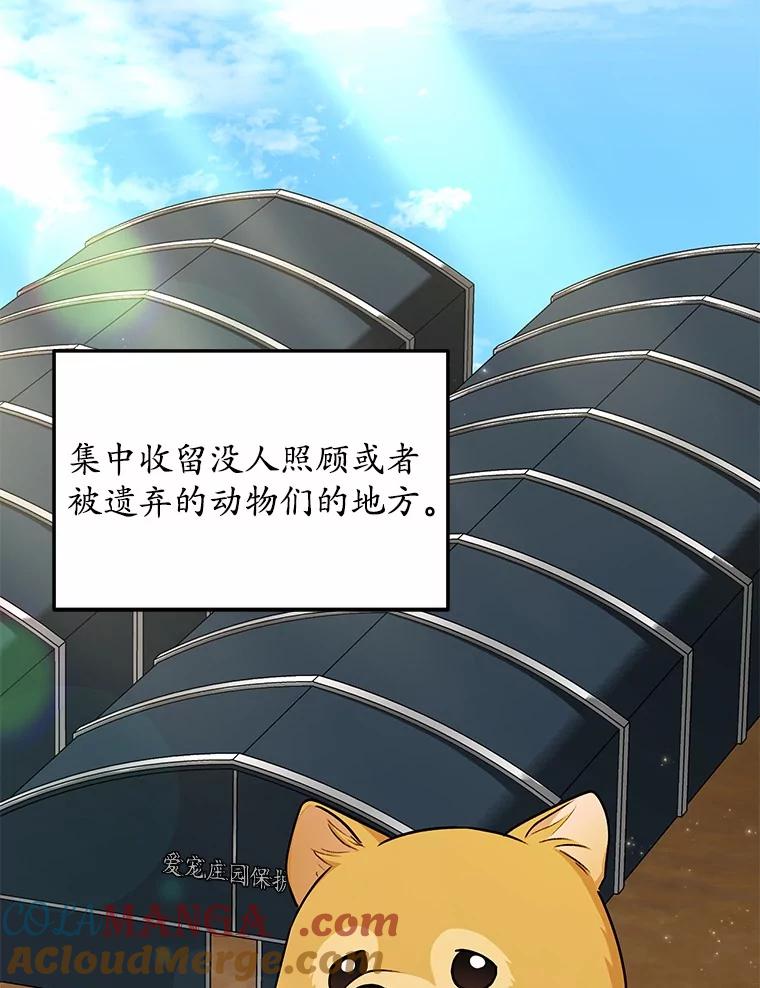 《你好？兽医先生！》17.爱咬人的大黄 第53页