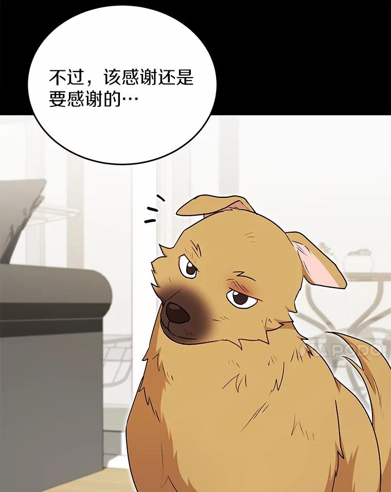 《你好？兽医先生！》18.最好的选择 第17页