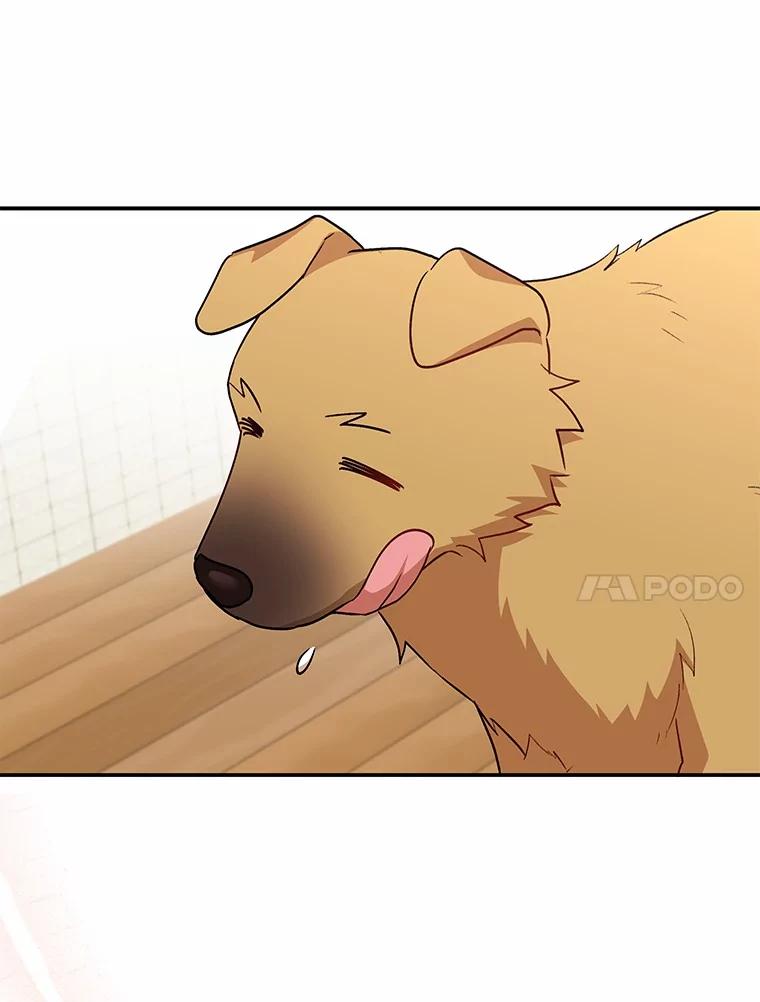 《你好？兽医先生！》19.新领养人 第57页
