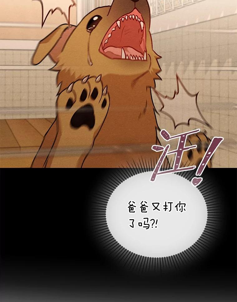 《你好？兽医先生！》19.新领养人 第11页