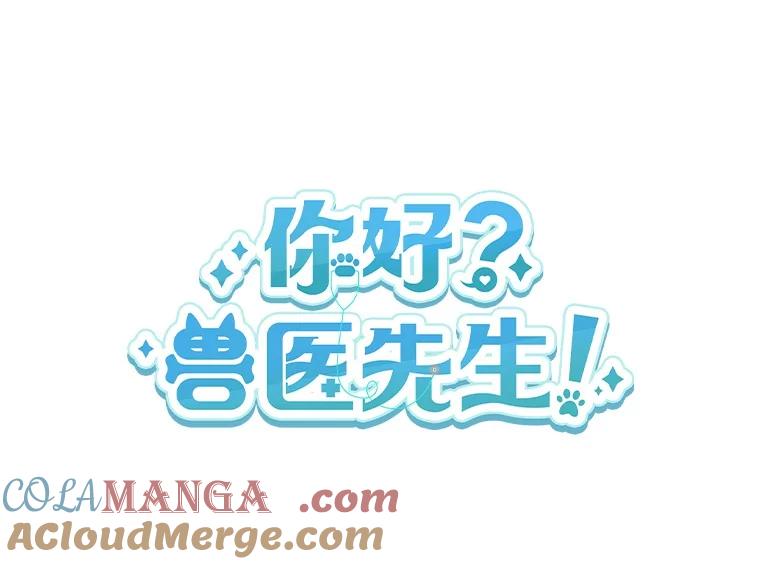 《你好？兽医先生！》19.新领养人 第61页