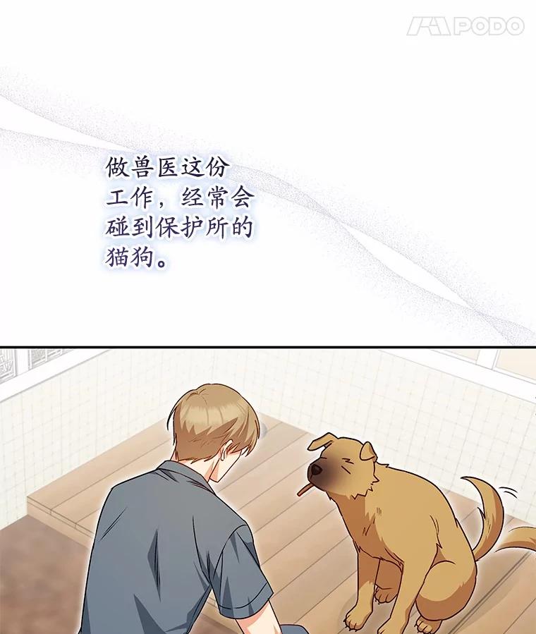 《你好？兽医先生！》19.新领养人 第54页