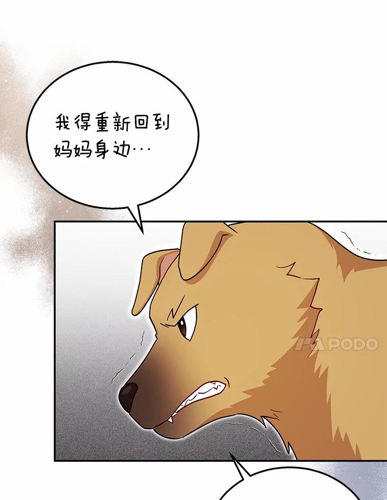 《你好？兽医先生！》19.新领养人 第20页