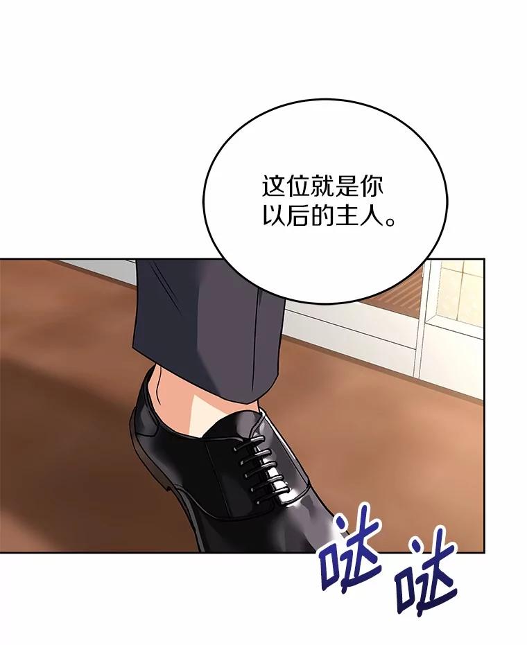 《你好？兽医先生！》20.幸福的未来 第51页