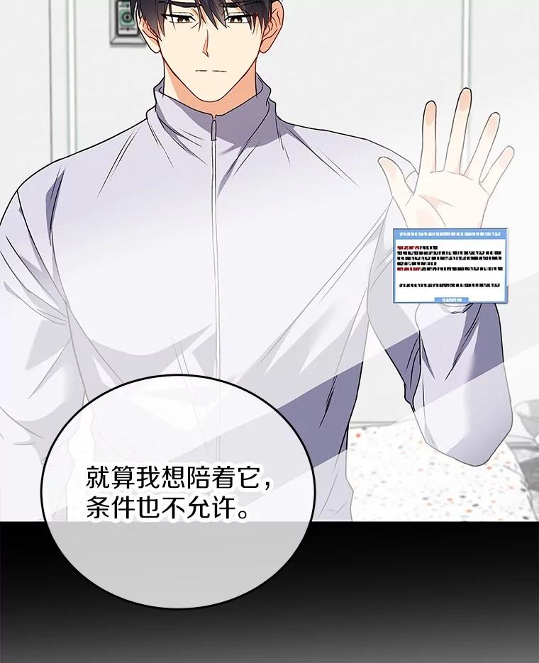 《你好？兽医先生！》20.幸福的未来 第20页