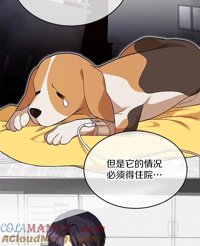 《你好？兽医先生！》20.幸福的未来 第19页